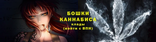 гидропоника Пересвет