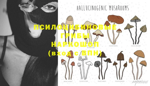 кокаин колумбия Заводоуковск