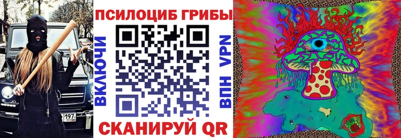 KRAKEN   Саратов  Галлюциногенные грибы GOLDEN TEACHER  закладки 