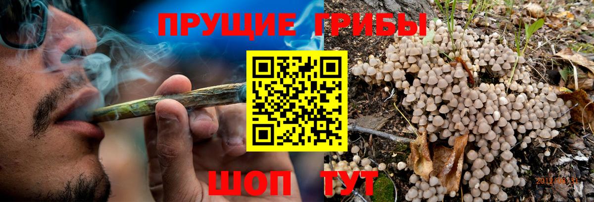 Галлюциногенные грибы MAGIC MUSHROOMS  Псилоцибиновые грибы GOLDEN TEACHER  Саратов  Вход с VPN 